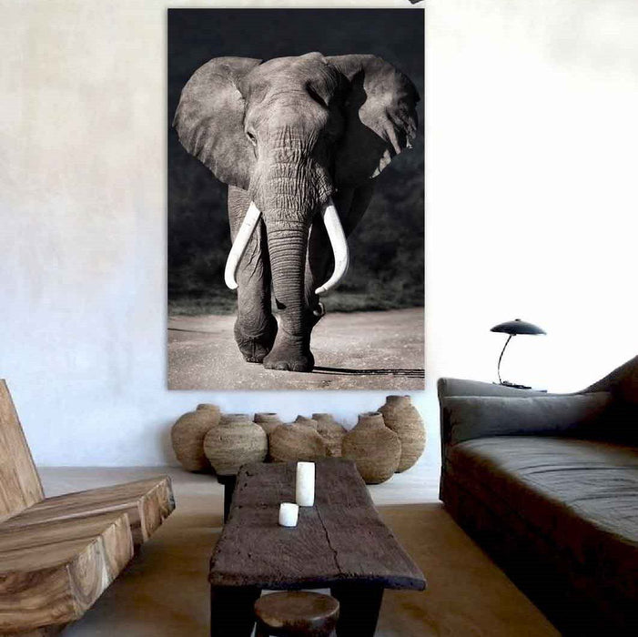 Xiart elephant approaching - ROUGH. interiors