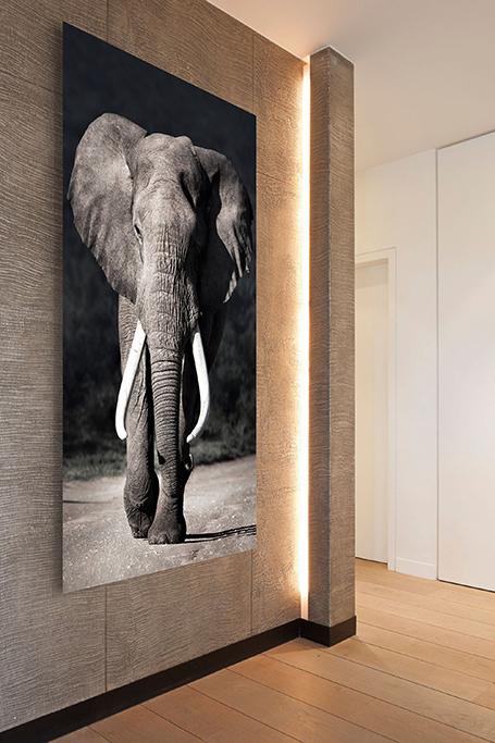 Xiart elephant approaching - ROUGH. interiors